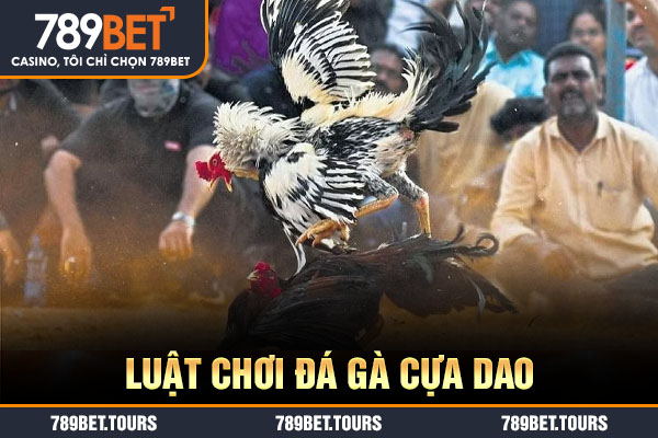 Luật chơi đá gà cựa dao